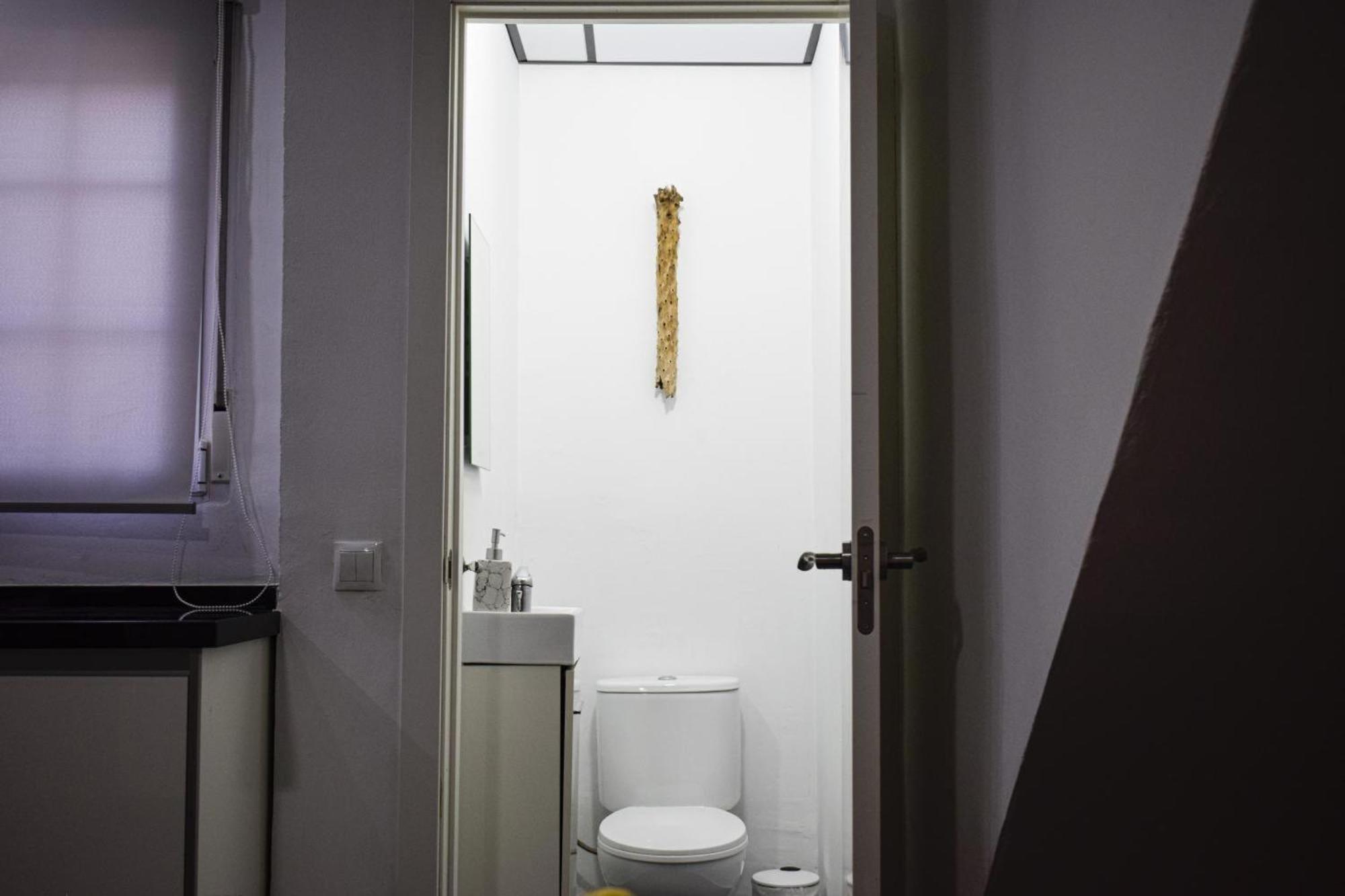 Domus Citrus Villa Mérida Eksteriør billede